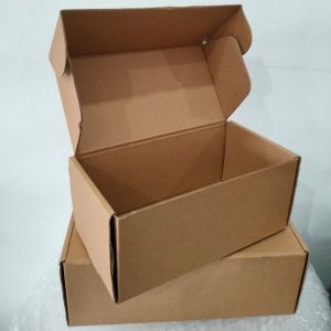 Box Sepatu